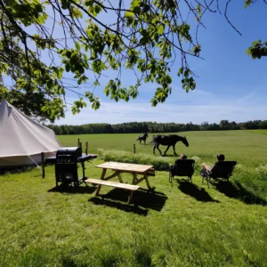 Glamping Accomodation Hotel Bornholm Book