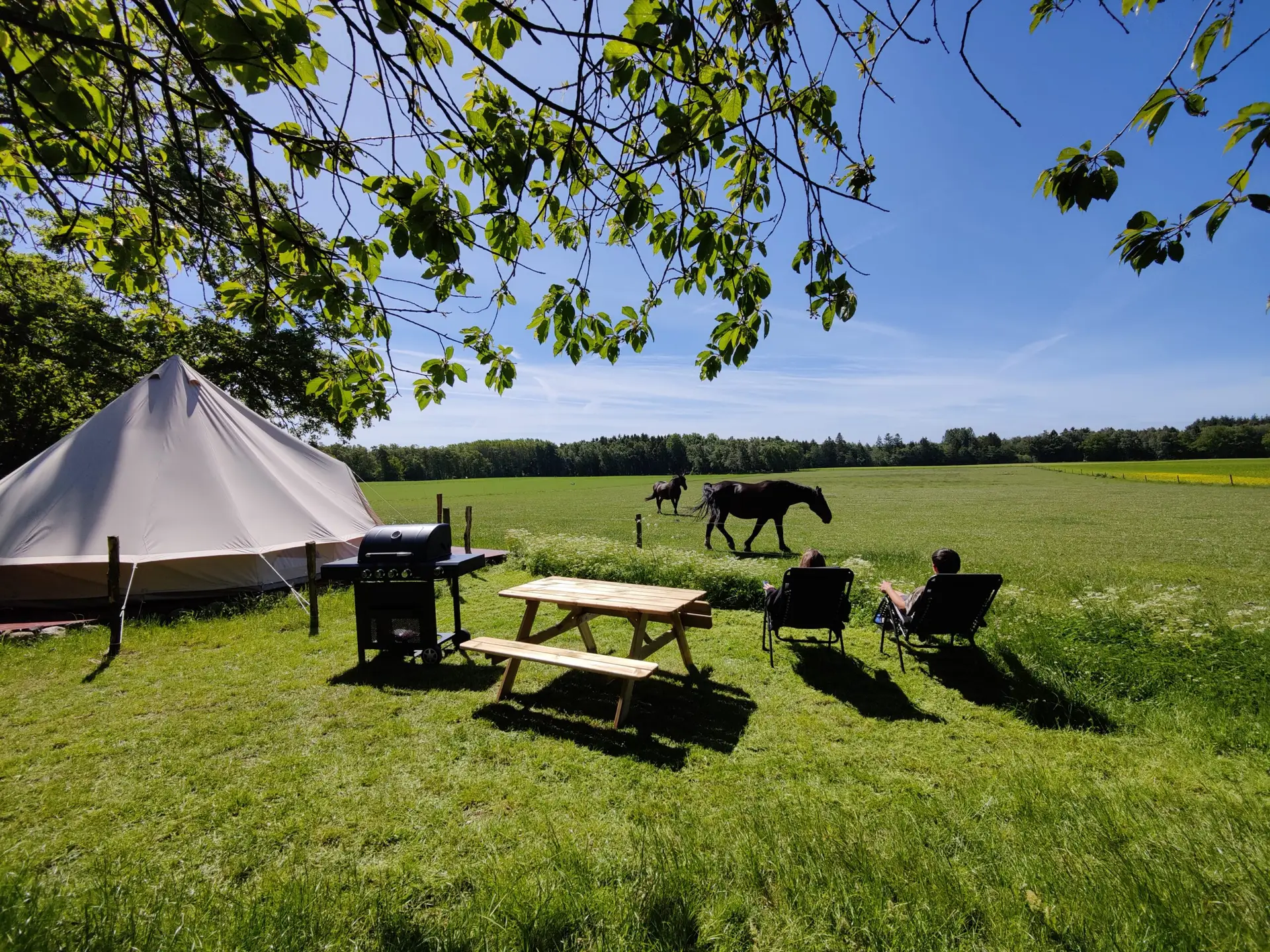 Glamping Accomodation Hotel Bornholm Book
