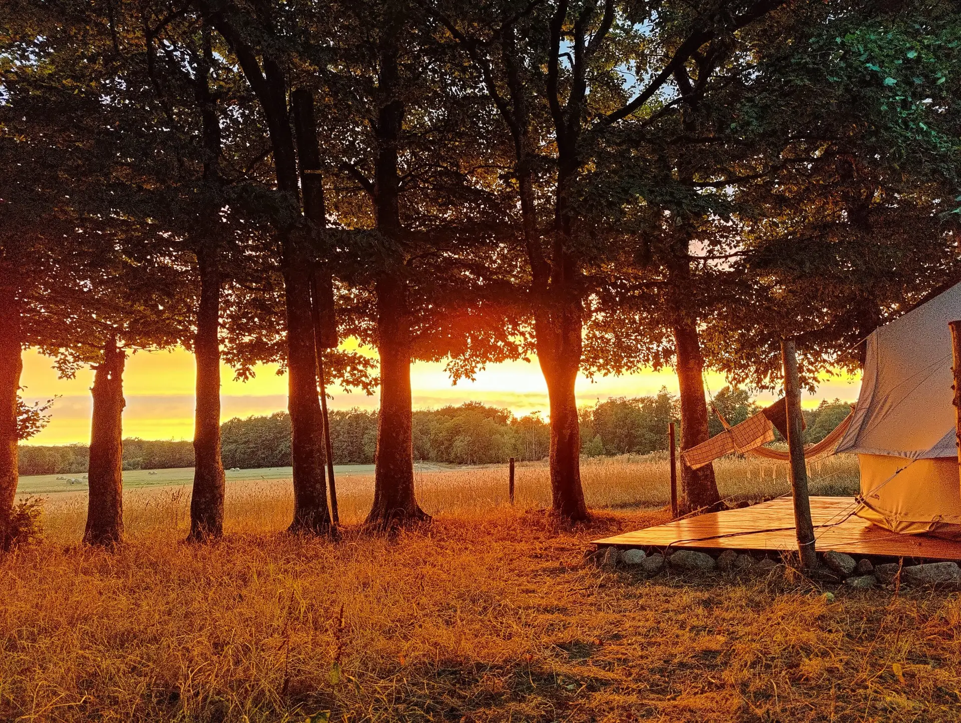 Glamping Accomodation Hotel Bornholm Book