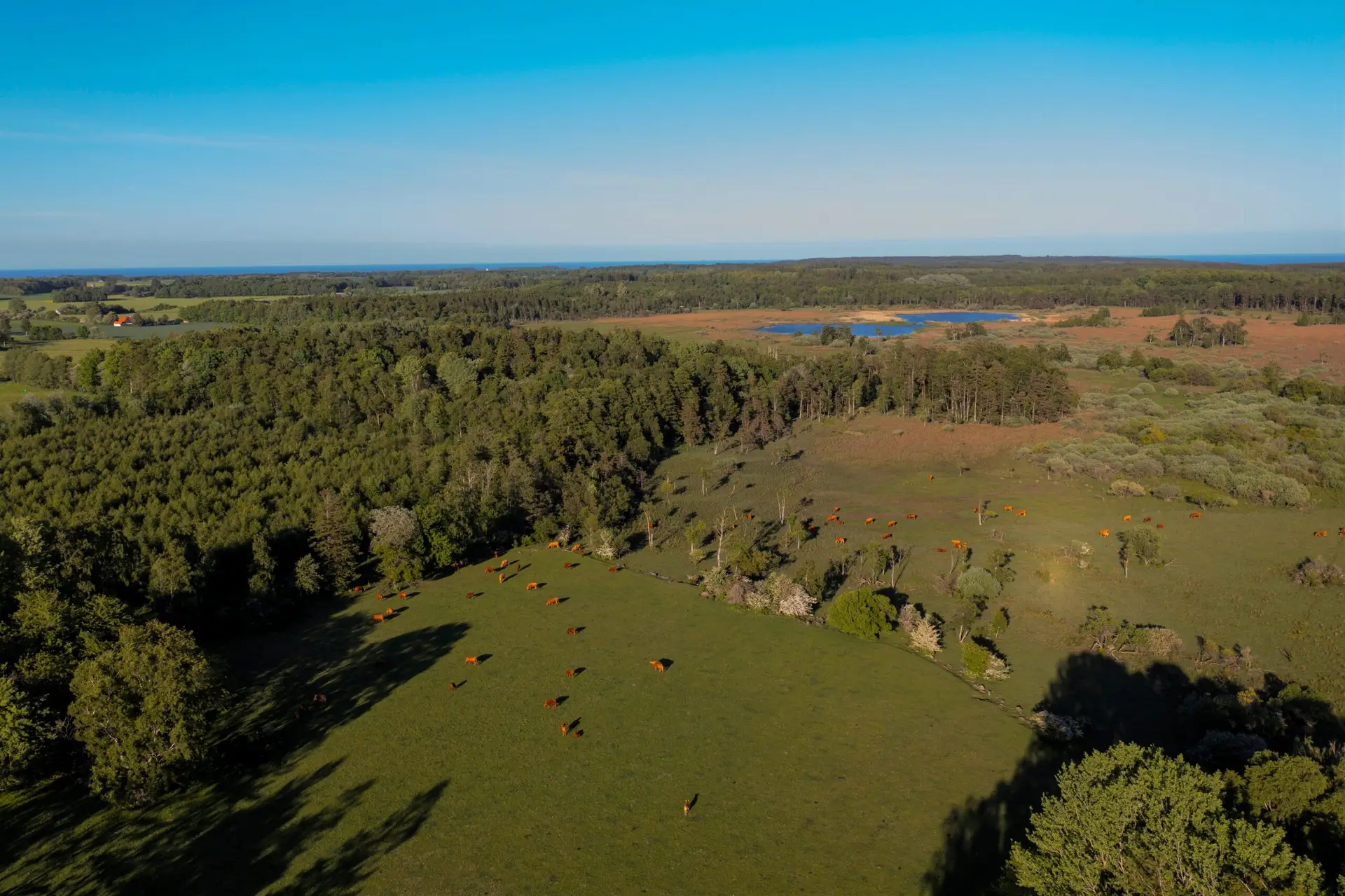 Glamping Accomodation Hotel Bornholm Book