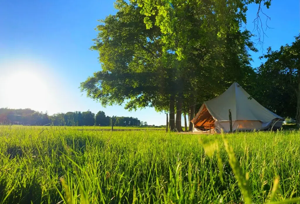 Glamping under the trees
