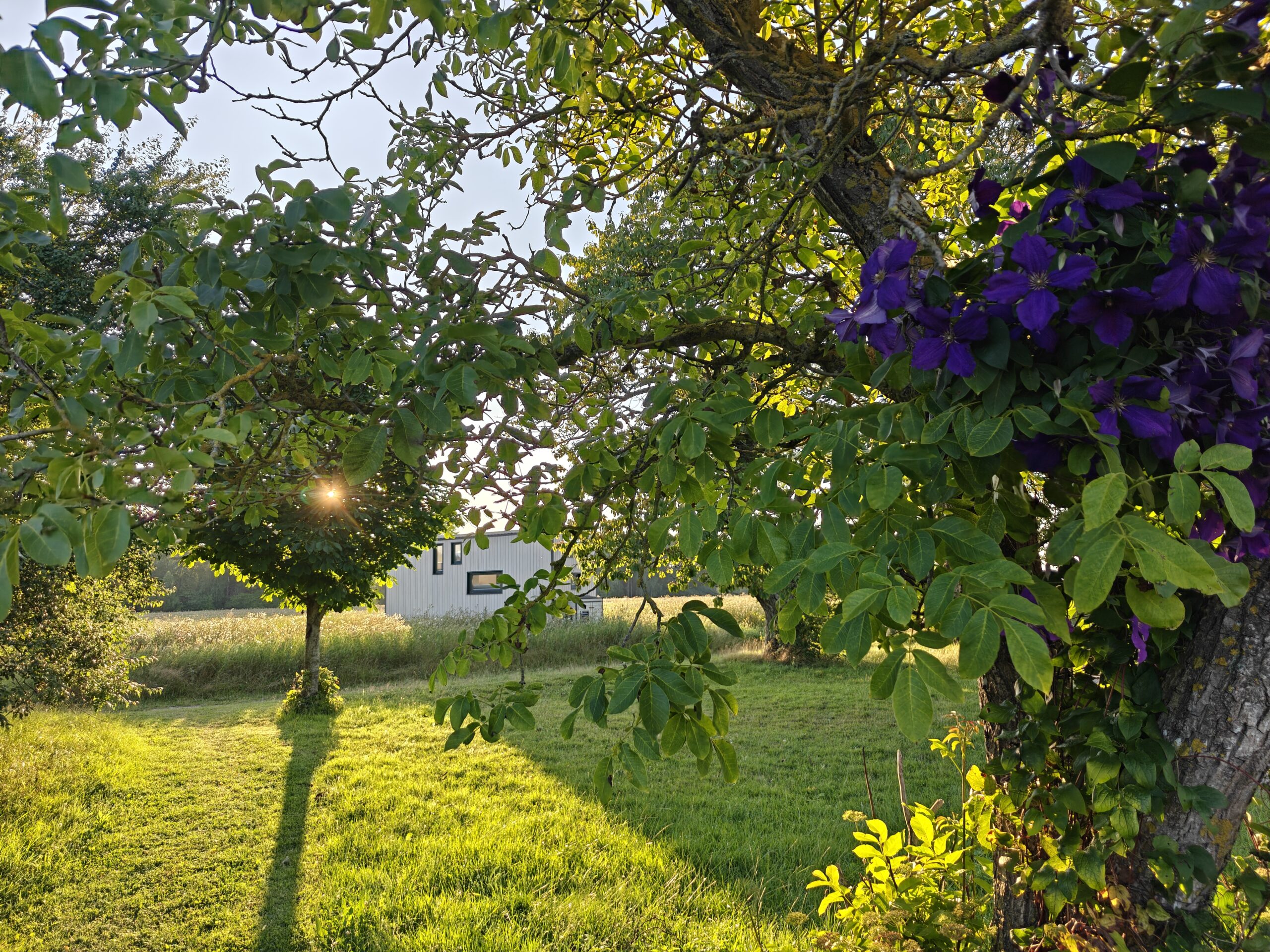 Nature Glamping Bornholm
