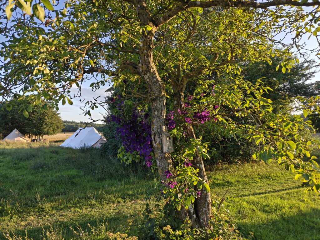 Nature Glamping Bornholm
