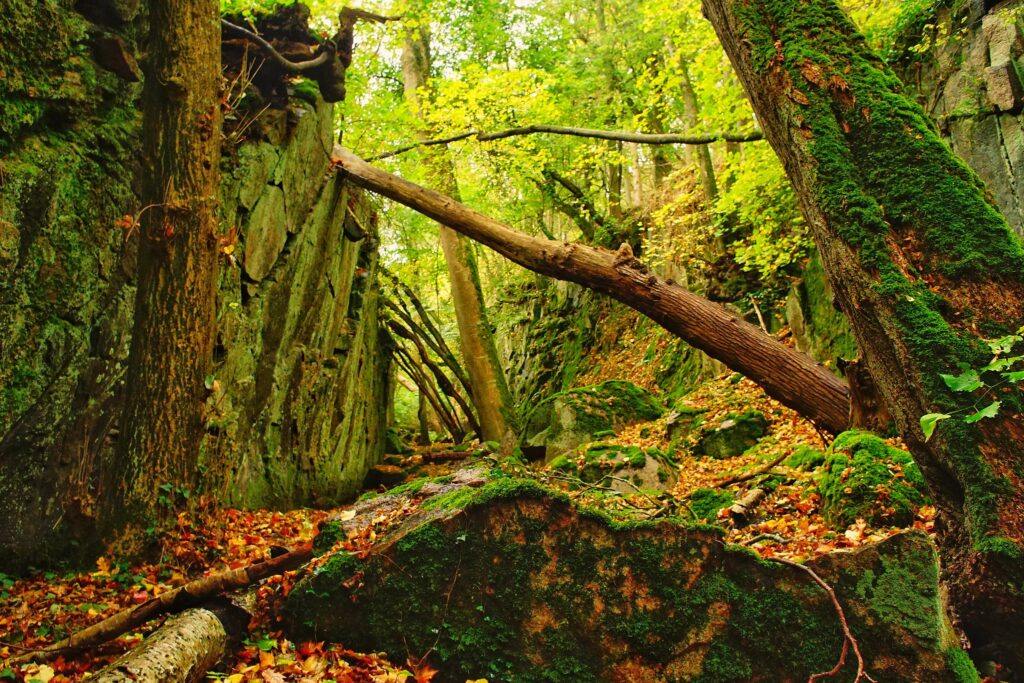 Glamping Aktiviteter Under Canvas Bornholm