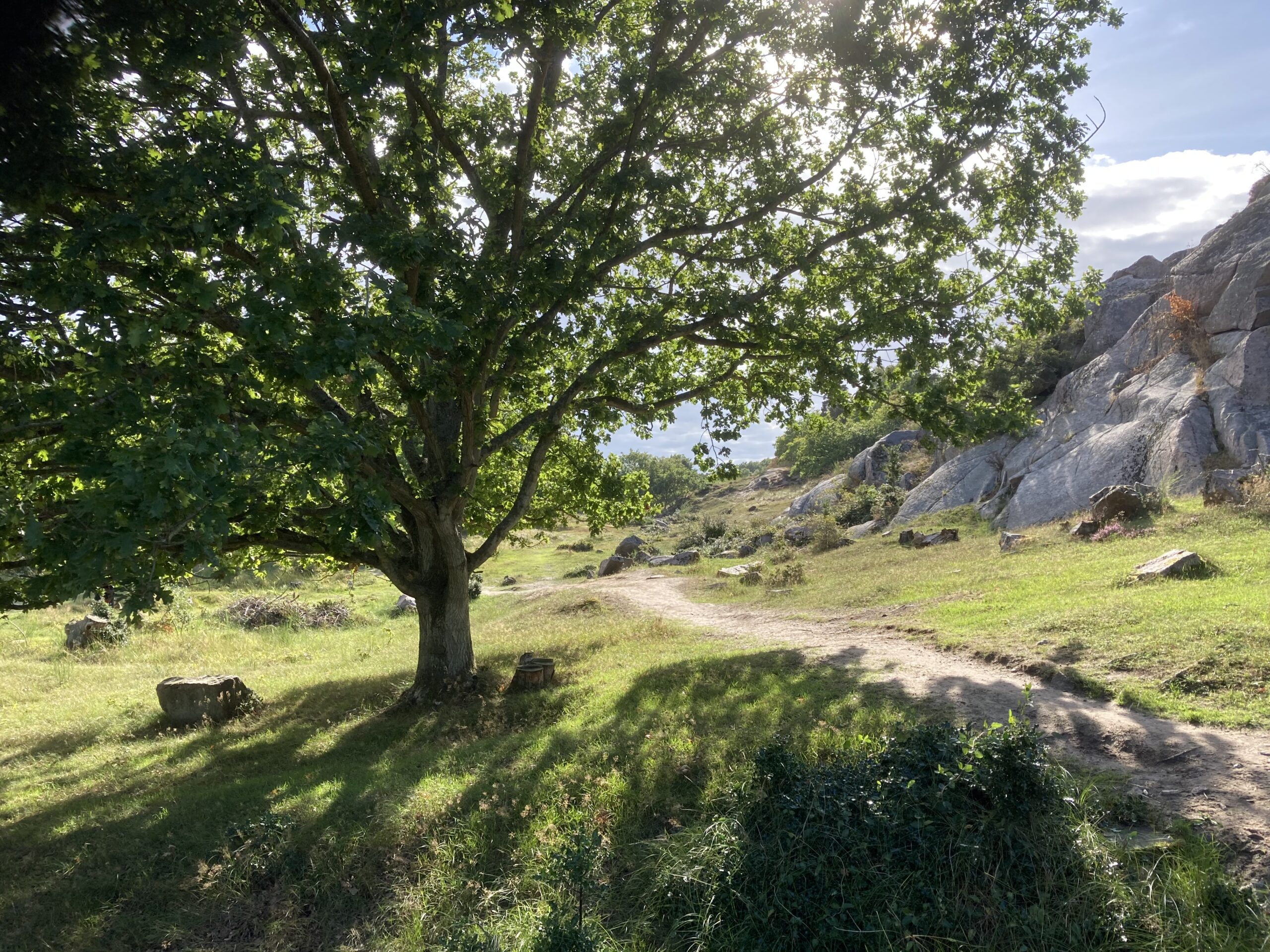 Vandreferie på Bornholm - Højlyngsstien - Overnatning på Bornholm