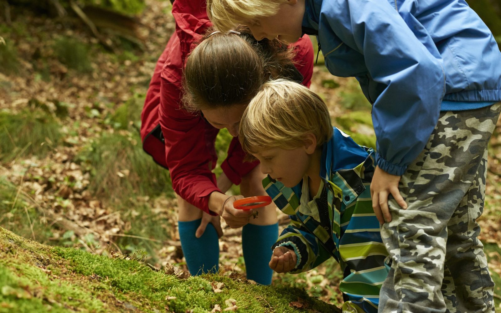 Familieferie Bornholm