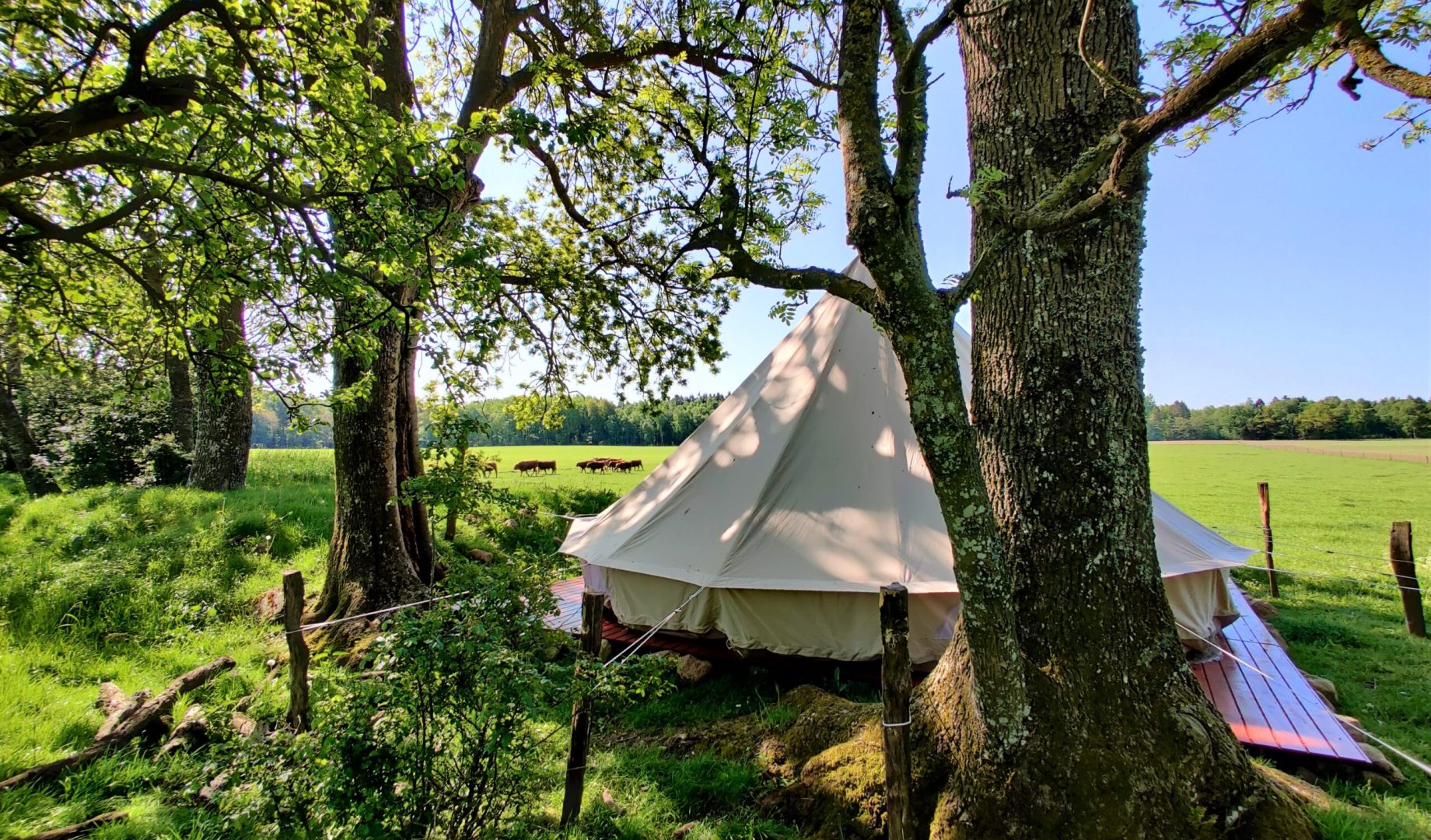 Glamping Accomodation Hotel Bornholm Book